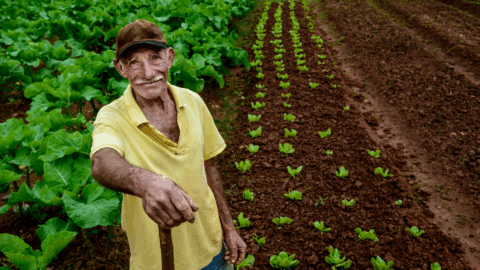 BNDES recursos Plano Safra 2025 2026