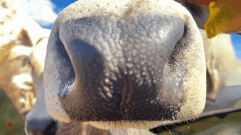 agtech report brasil