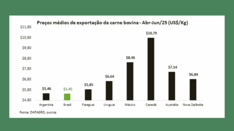 carne bovina exportação Brasil Estados Unidos