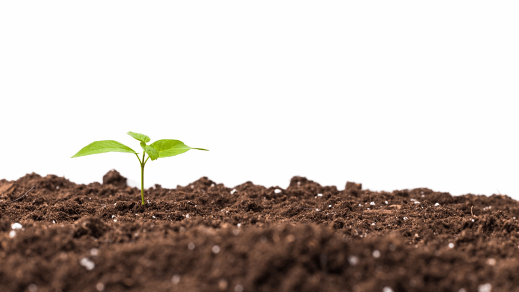 fertilizantes mitos e verdades