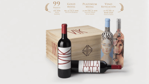 VIK vinhos vendimia Brasil