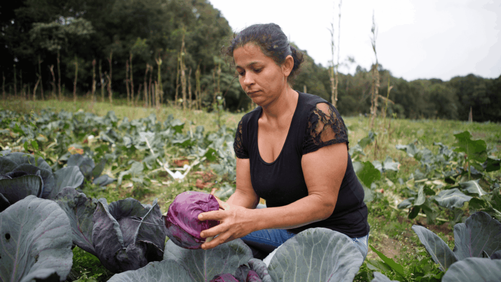 BNDES biosinsumos pequeno produtor rural