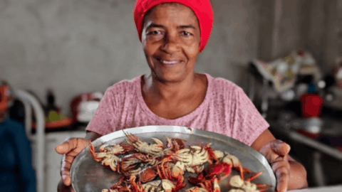 embrapa gastronomia tradicional regional sustentável