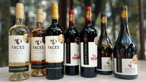 vinho Lidio Carraro COP30