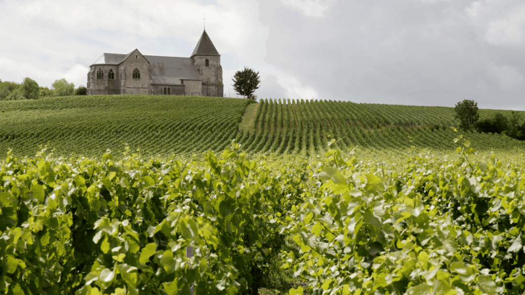 vinhos franceses foire aux vins