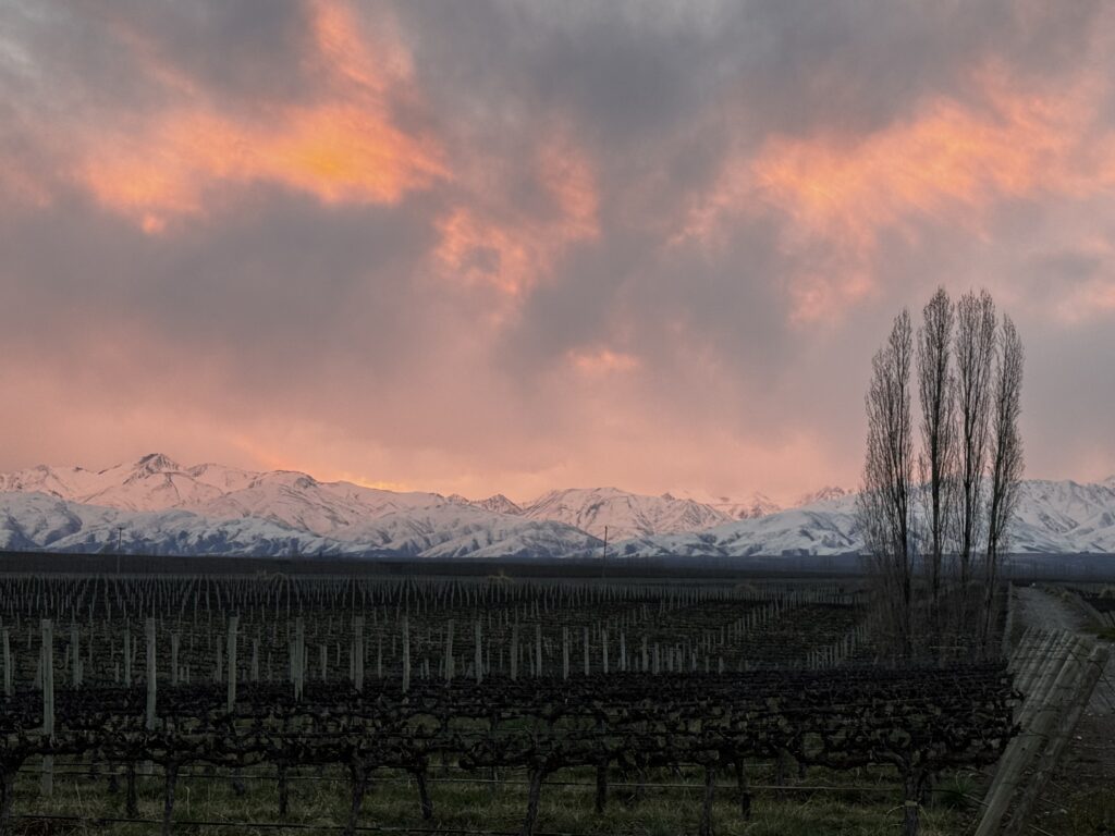 vinhedo Chandon Mendoza