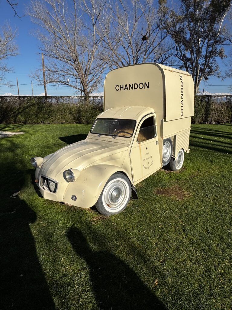 Chandon Mendoza