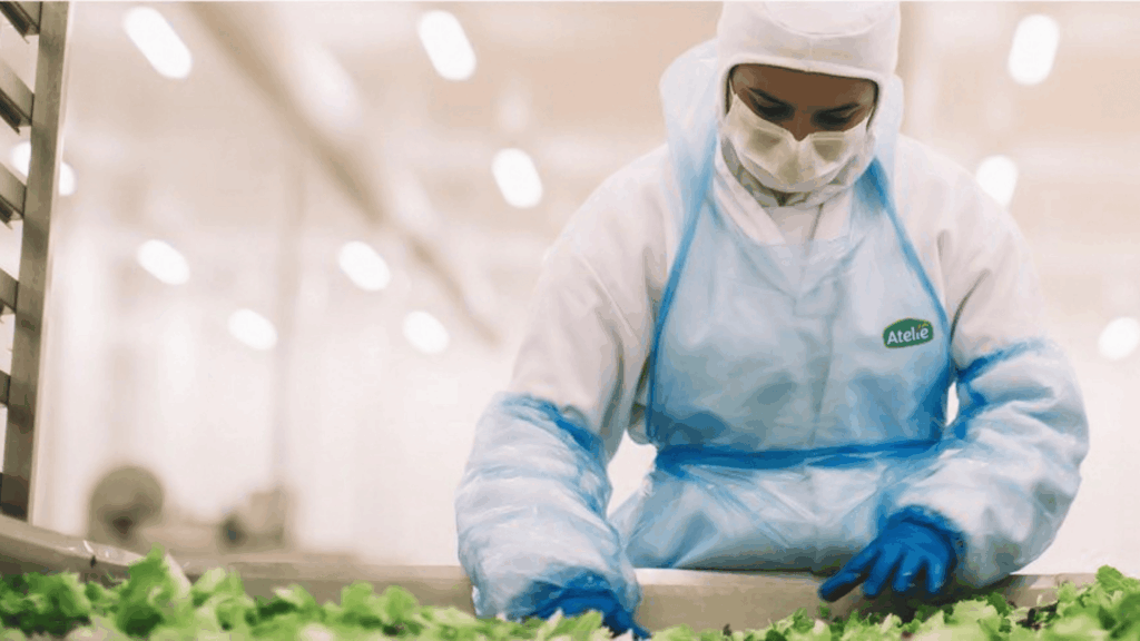 NOrac Foods Atelie grab & go tendências alimentos saudaveis