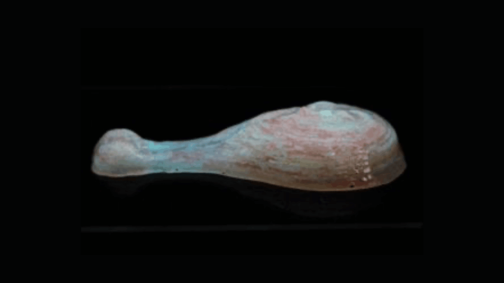 coxa de frango 3D proteína alternativa UNESP