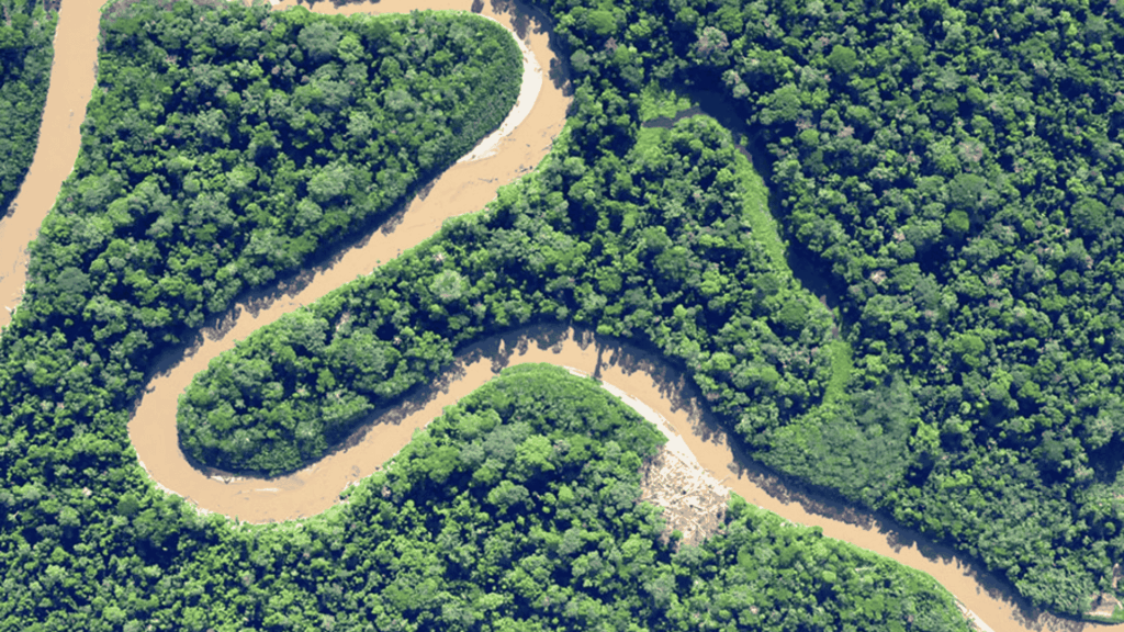 desmatamento amazonia indonesia estudo embrapa