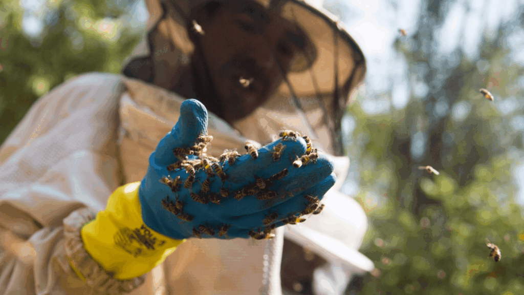 mel indicaçao geografica São Paulo