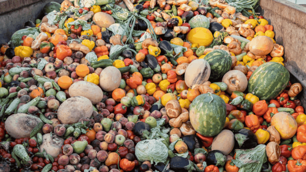 residuos alimentos supermercados biodigestor