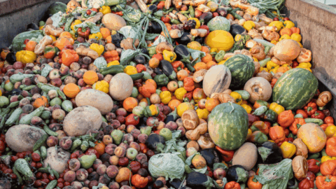 residuos alimentos supermercados biodigestor