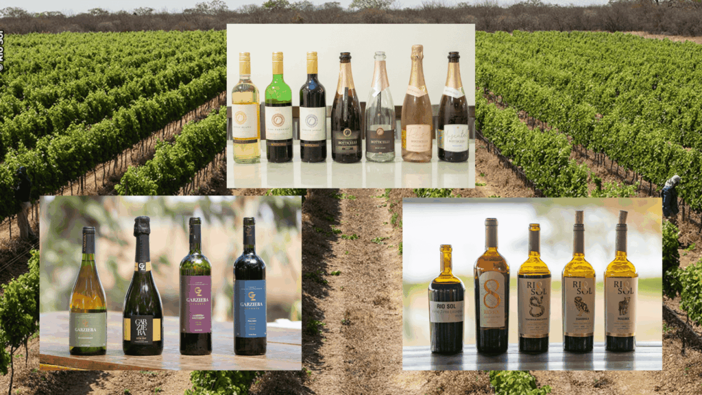 vinhos vale do são francisco prowine são paulo