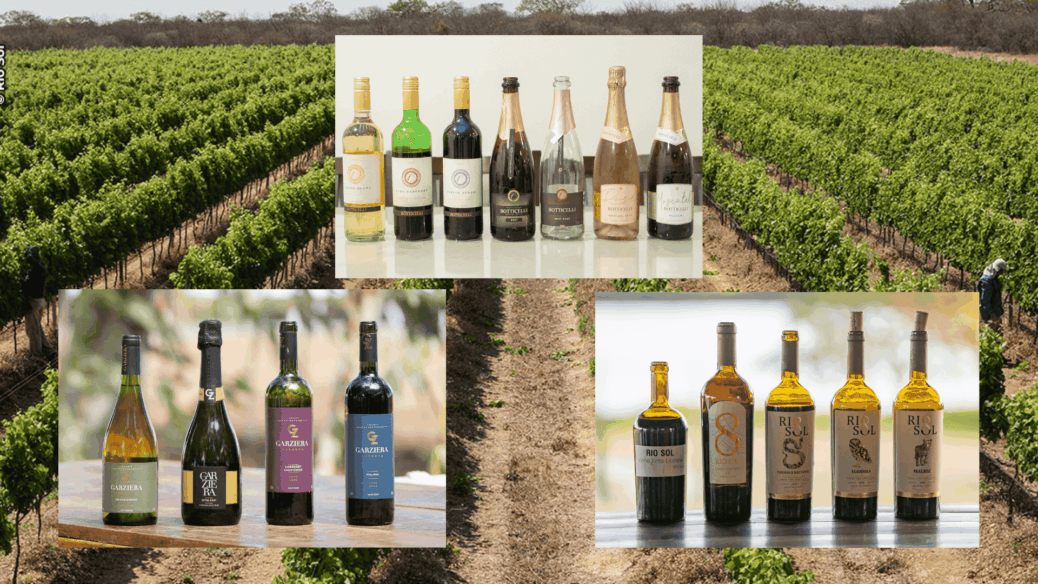 vinhos vale do são francisco prowine são paulo