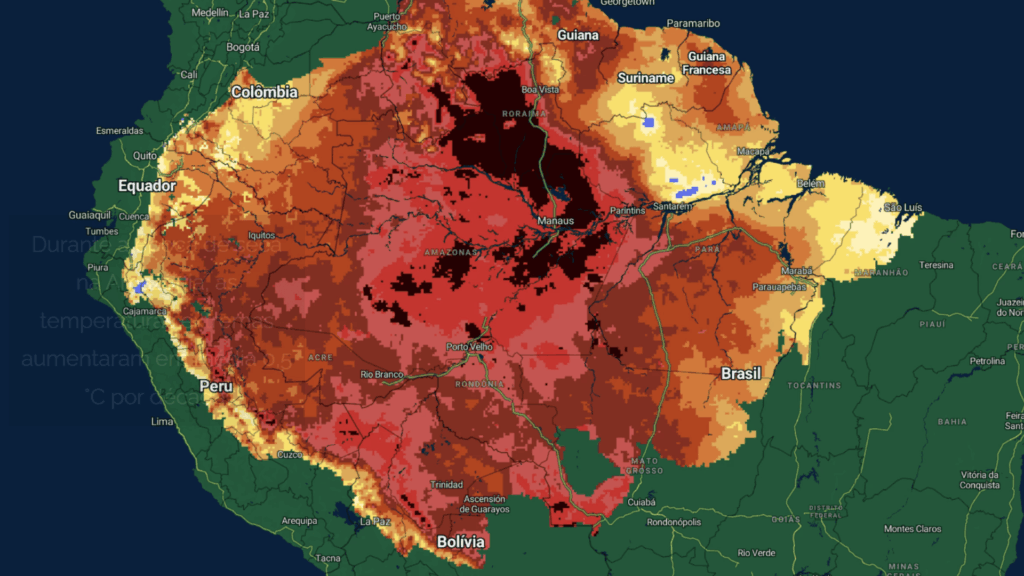 Amazonia Embrapa Climate Change COP30