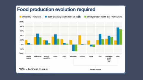 relatório EAT-Lancet alimentação mundial