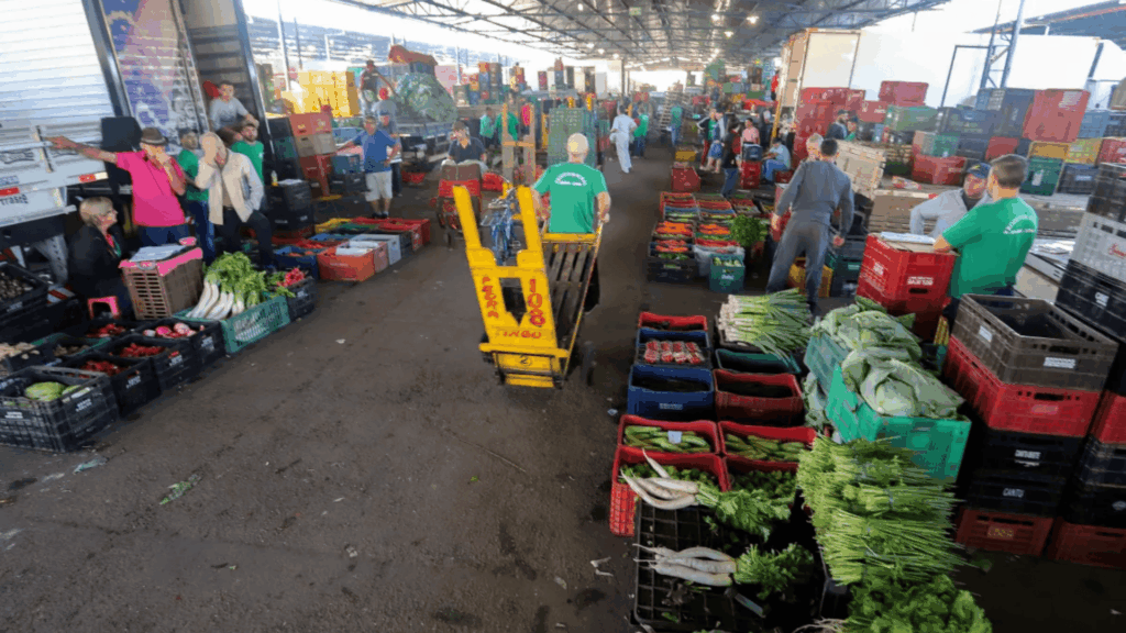 Ceasa Curitiba - Artigo Geyze Diniz