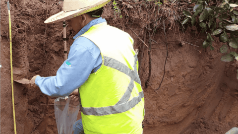 embrapa credito carbono libs