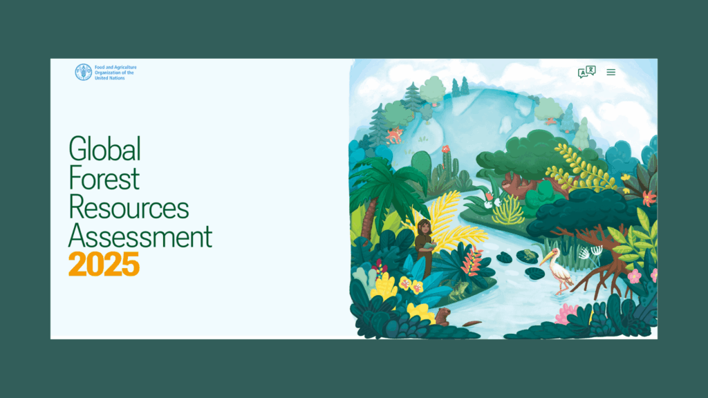 Relatorio FAO Florestas Desmatamento