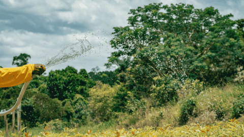 heineken bacia hidrografica microbacias