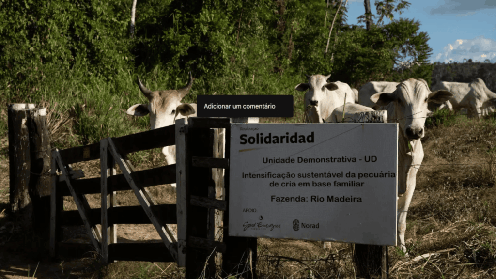 pecuaria amazonia sustentabilidade