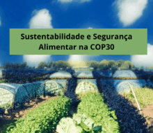 Os sistemas alimentares podem impulsionar soluções climáticas