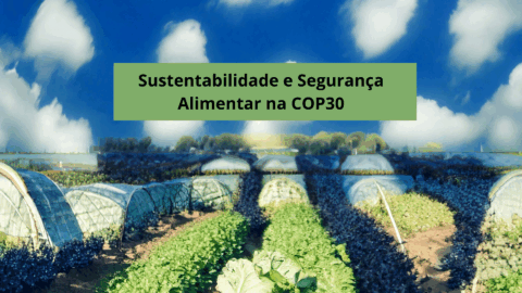 Segurança alimentar COP30