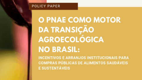 PNAE Instituto Comida do Amanhã