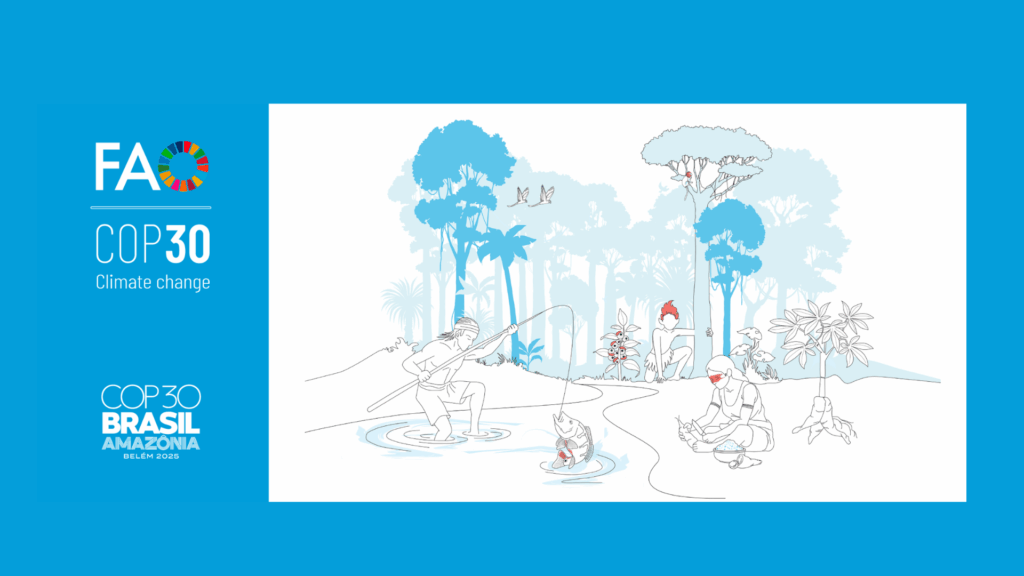 FAO COP30 investimentos setor agrícola