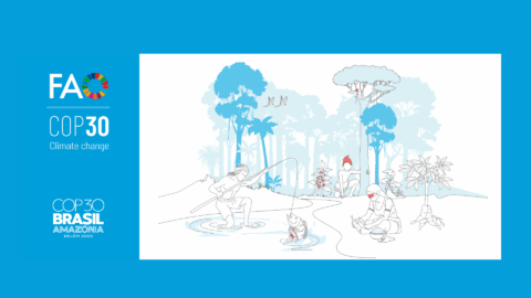 FAO COP30 investimentos setor agrícola