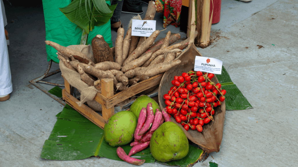 Sistemas alimentares Instituto Comida do Amanhã COP30