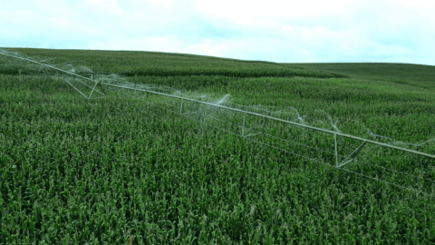 Hughes conectividade irrigação