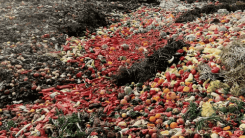 pacto contra a fome desperdicio de alimentos cop30