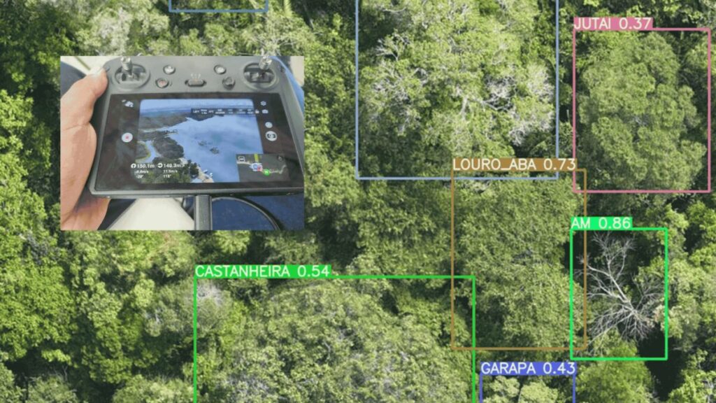 embrapa mapeamento inteligencia artificial castanheiras amazonia
