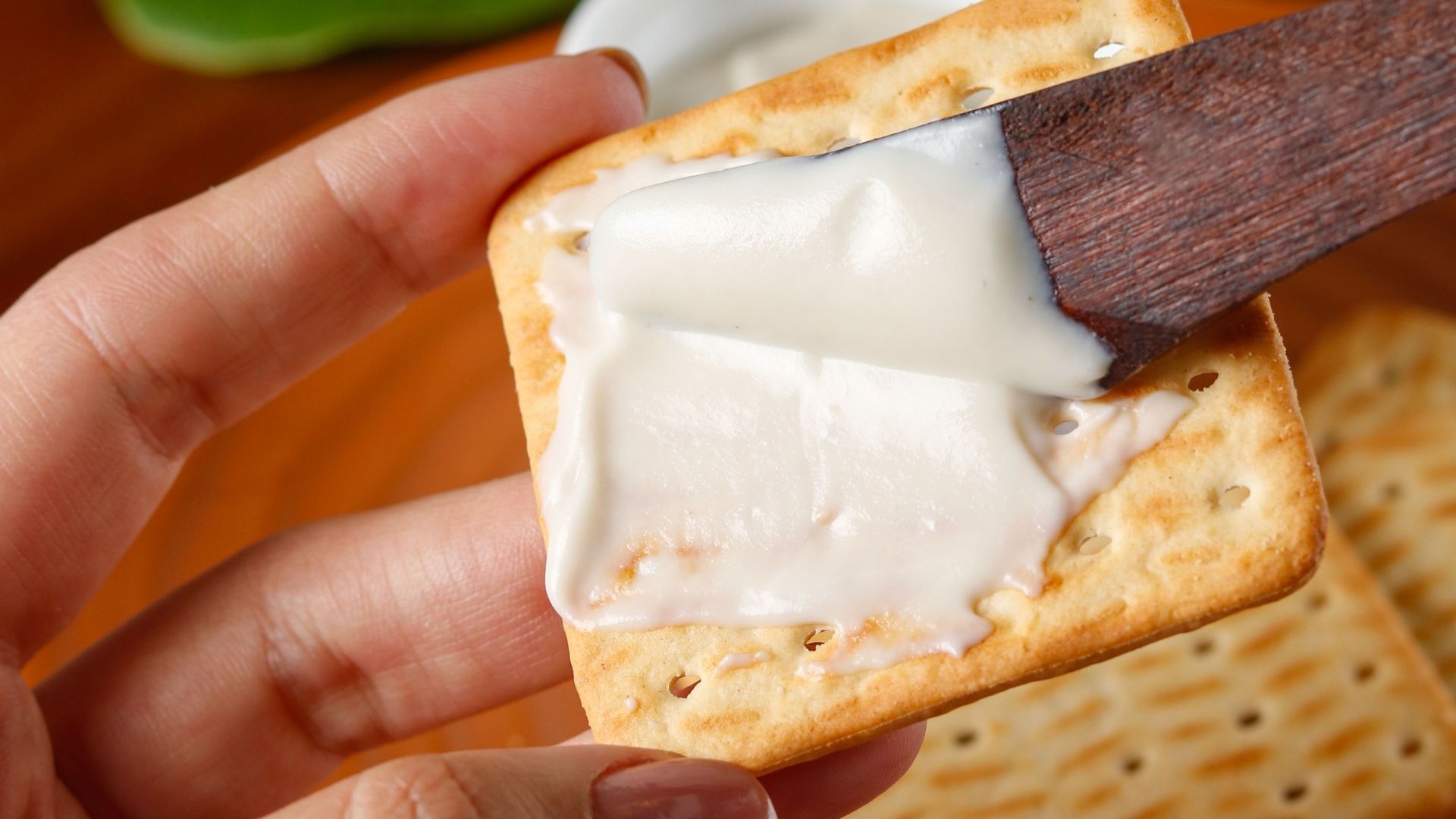 embrapa queijo castanha de caju