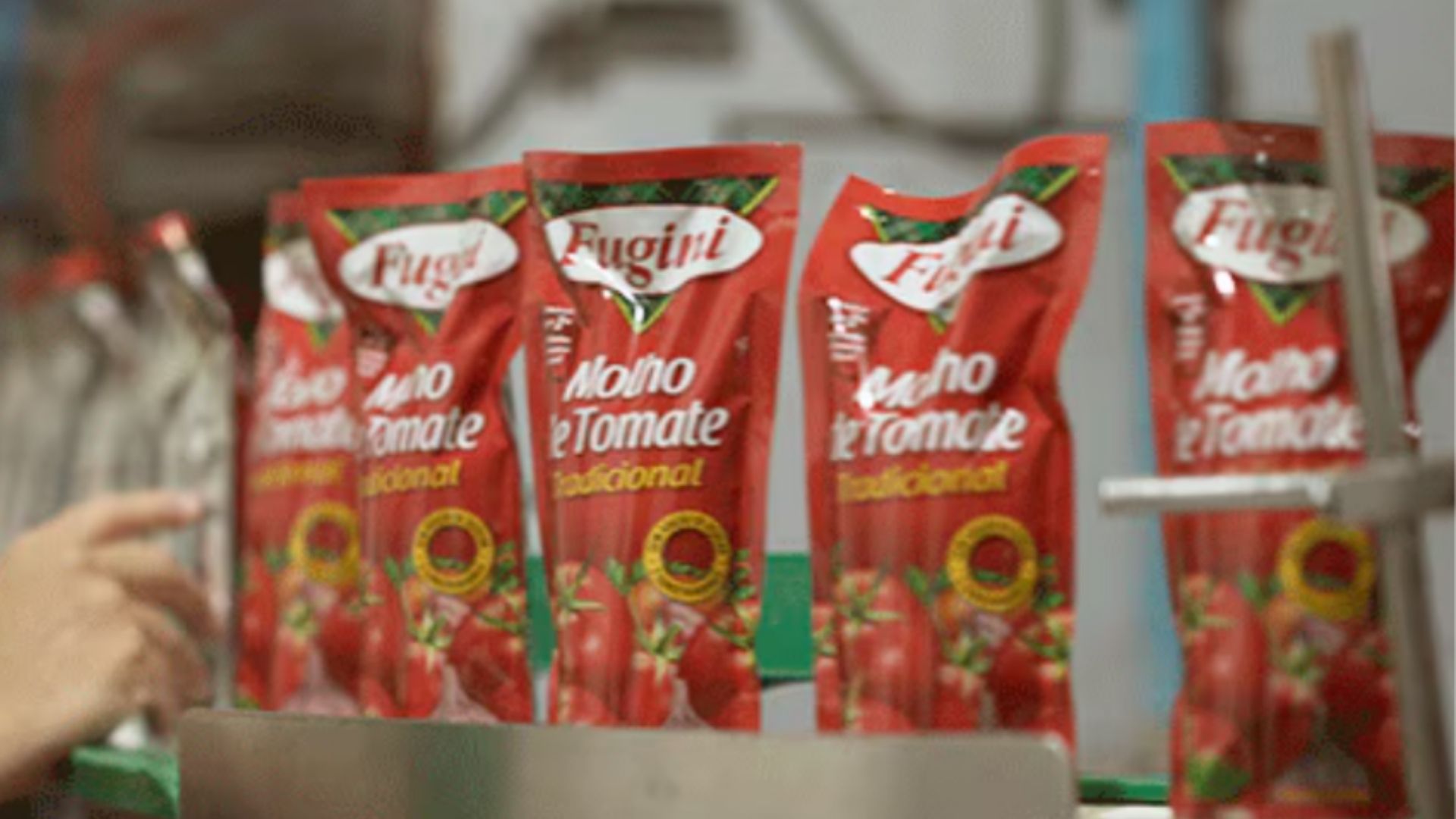 molhos tomate Fugini alimentação