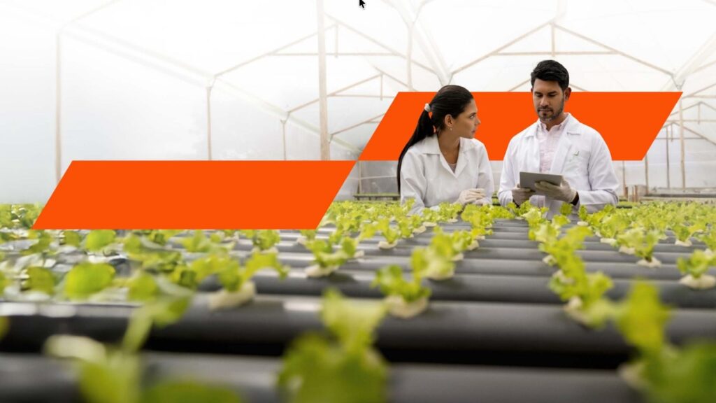 Pesquisa global agronegocio PwC