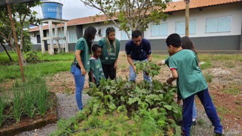 ADM Cares e ChildFund promovem segurança alimentar no Brasil