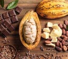 Queda no preço do cacau pode beneficiar pequenos produtores de chocolate na Páscoa 2026