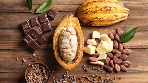 cacau mercado chocolate páscoa