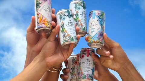 Rio Valley latinhas vinho espumante carnaval