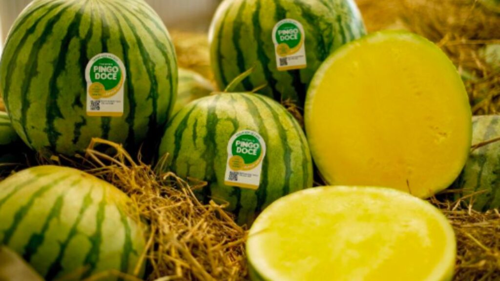 Melancia Pingo Doce_BASF_Fruit Attraction