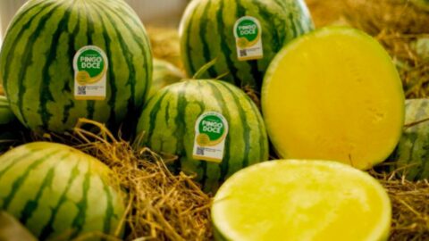 Melancia Pingo Doce_BASF_Fruit Attraction
