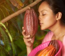 Dia do Cacau: celebremos este alimento que já foi considerado um presente dos deuses