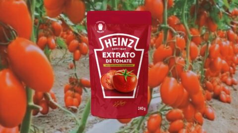 extrato de tomate heinz