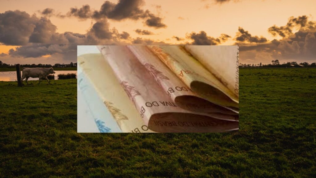 FIDC AGRO BRASIL AUDAX