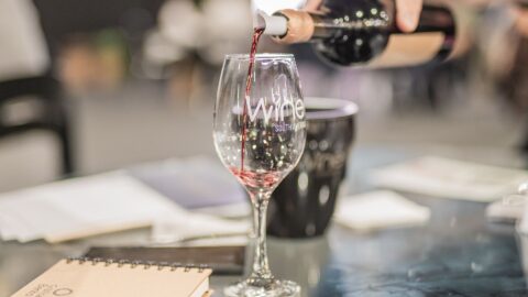 wine south america 2026