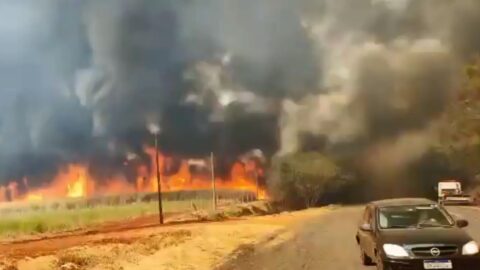 agro brasil seguro rural