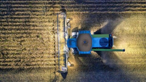agtech BASF bioinsumos